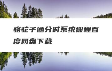 骆驼子涵分时系统课程百度网盘下载