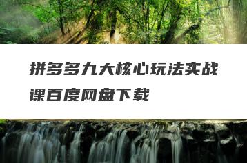 拼多多九大核心玩法实战课百度网盘下载