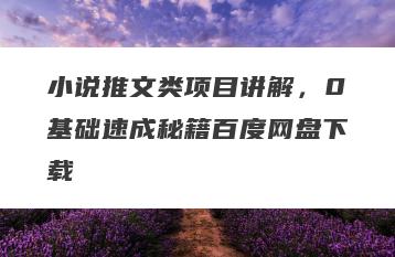 小说推文类项目讲解，0基础速成秘籍百度网盘下载