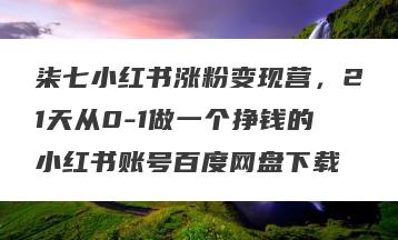 柒七小红书涨粉变现营，21天从0-1做一个挣钱的小红书账号百度网盘下载