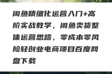 闲鱼精细化运营入门+高阶实战教学，闲鱼卖货整体运营思路，零成本零风险轻创业电商项目百度网盘下载