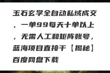 玉石玄学全自动私域成交，一单99每天十单以上，无需人工和矩阵账号，蓝海项目直接干【揭秘】百度网盘下载