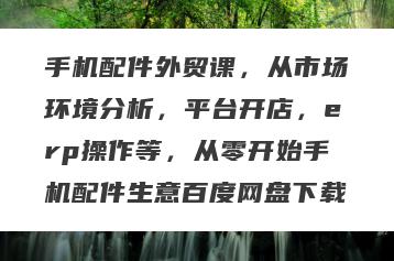 手机配件外贸课，从市场环境分析，平台开店，erp操作等，从零开始手机配件生意百度网盘下载