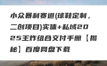 小众暴利赛道(球鞋定制，二创项目)实体+私域2025王炸组合交付手册【揭秘】百度网盘下载