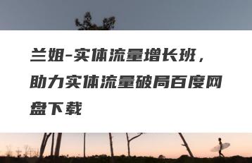 兰姐-实体流量增长班，助力实体流量破局百度网盘下载