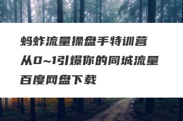 蚂蚱流量操盘手特训营​ 从0~1引爆你的同城流量百度网盘下载