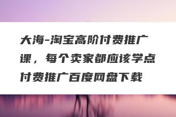 大海-淘宝高阶付费推广课，每个卖家都应该学点付费推广百度网盘下载