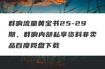 群响流量黄宝书25-29期，群响内部私享资料非卖品百度网盘下载