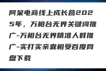 阿呆电商线上成长营2025年，万相台无界关键词推广-万相台无界精准人群推广-实打实亲囊相受百度网盘下载
