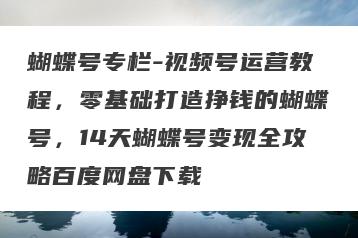蝴蝶号专栏-视频号运营教程，零基础打造挣钱的蝴蝶号，14天蝴蝶号变现全攻略百度网盘下载