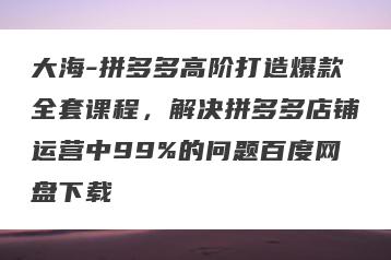大海-拼多多高阶打造爆款全套课程，解决拼多多店铺运营中99%的问题百度网盘下载