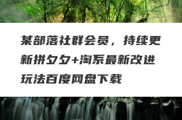 某部落社群会员，持续更新拼夕夕+淘系最新改进玩法百度网盘下载