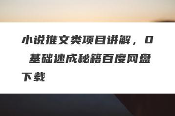 小说推文类项目讲解，0 基础速成秘籍百度网盘下载