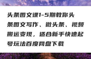 头条图文课1-5期教你头条图文写作、微头条、视频搬运变现，适合新手快速起号玩法百度网盘下载