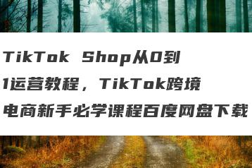 TikTok Shop从0到1运营教程，TikTok跨境电商新手必学课程百度网盘下载