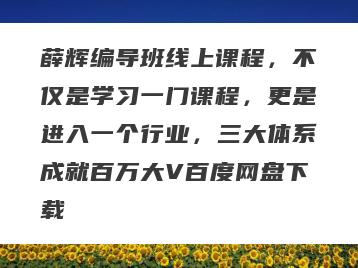 薛辉编导班线上课程，不仅是学习一门课程，更是进入一个行业，三大体系成就百万大V百度网盘下载