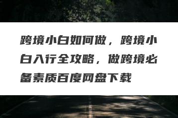 跨境小白如何做，跨境小白入行全攻略，做跨境必备素质百度网盘下载