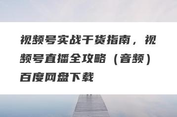 视频号实战干货指南，视频号直播全攻略（音频）百度网盘下载