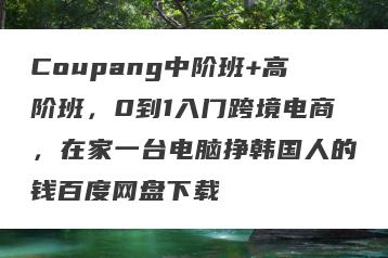 Coupang中阶班+高阶班，0到1入门跨境电商，在家一台电脑挣韩国人的钱百度网盘下载