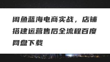 闲鱼蓝海电商实战，店铺搭建运营售后全流程百度网盘下载