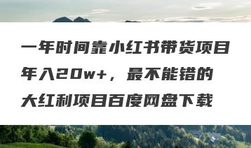 一年时间靠小红书带货项目年入20w+，最不能错的大红利项目百度网盘下载
