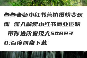 叁叁老师小红书营销爆粉变现课 深入解读小红书商业逻辑 带你进阶变现大…百度网盘下载