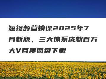 短视频营销课2025年7月新版，三大体系成就百万大V百度网盘下载