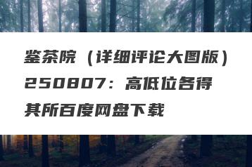 鉴茶院（详细评论大图版）250807：高低位各得其所百度网盘下载