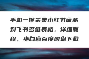 手机一键采集小红书商品到飞书多维表格，详细教程，小白应百度网盘下载