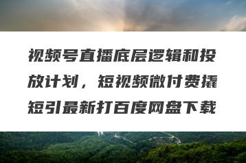 视频号直播底层逻辑和投放计划，短视频微付费撬短引最新打百度网盘下载
