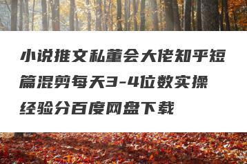小说推文私董会大佬知乎短篇混剪每天3-4位数实操经验分百度网盘下载