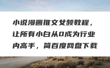 小说漫画推文女频教程，让所有小白从0成为行业内高手，简百度网盘下载