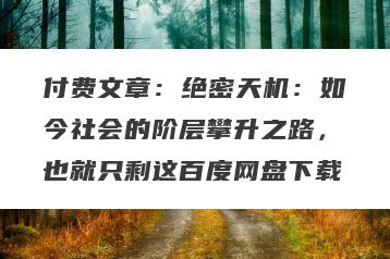 付费文章：绝密天机：如今社会的阶层攀升之路，也就只剩这百度网盘下载