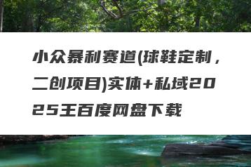 小众暴利赛道(球鞋定制，二创项目)实体+私域2025王百度网盘下载