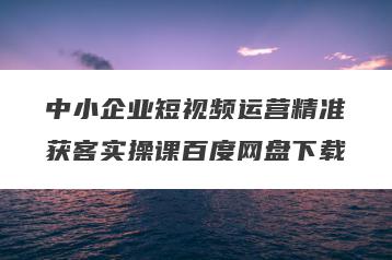 中小企业短视频运营精准获客实操课百度网盘下载
