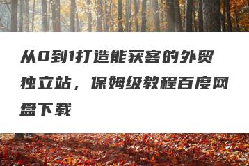 从0到1打造能获客的外贸独立站，保姆级教程百度网盘下载