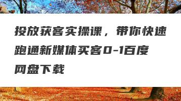 投放获客实操课，带你快速跑通新媒体买客0-1百度网盘下载