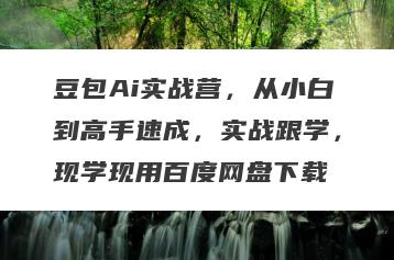 豆包Ai实战营，从小白到高手速成，实战跟学，现学现用百度网盘下载