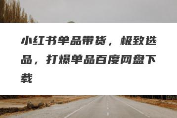 小红书单品带货，极致选品，打爆单品百度网盘下载