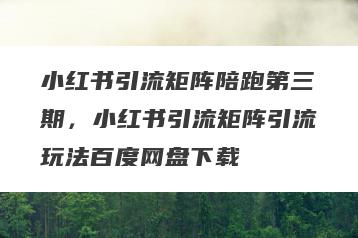 小红书引流矩阵陪跑第三期，小红书引流矩阵引流玩法百度网盘下载