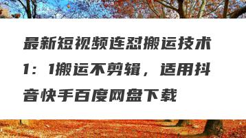 最新短视频连怼搬运技术 1：1搬运不剪辑，适用抖音快手百度网盘下载