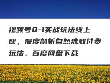 视频号0-1实战玩法线上课，深度剖析自然流和付费玩法，百度网盘下载