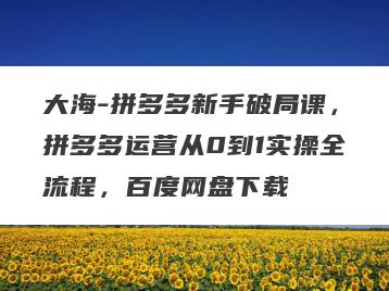 大海-拼多多新手破局课，拼多多运营从0到1实操全流程，百度网盘下载