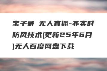 宝子哥・无人直播-非实时防风技术(更新25年6月)无人百度网盘下载