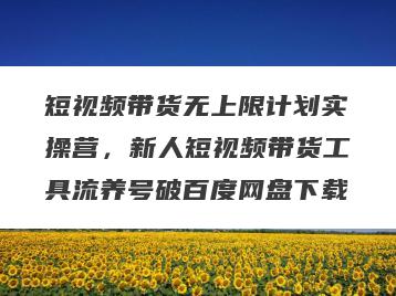 短视频带货无上限计划实操营，新人短视频带货工具流养号破百度网盘下载