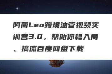 阿蔺Leo跨境油管视频实训营3.0，帮助你稳入局、搞流百度网盘下载