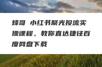 烽哥・小红书聚光投流实操课程，教你直达捷径百度网盘下载