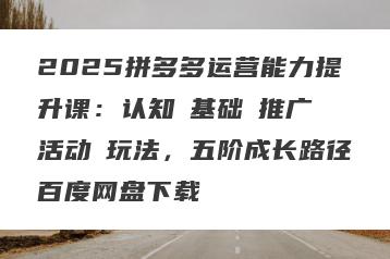 2025拼多多运营能力提升课：认知→基础→推广→活动→玩法，五阶成长路径百度网盘下载