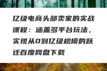 亿级电商头部卖家的实战课程：涵盖多平台玩法，实现从0到亿级规模的跃迁百度网盘下载