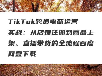 TikTok跨境电商运营实战：从店铺注册到商品上架、直播带货的全流程百度网盘下载